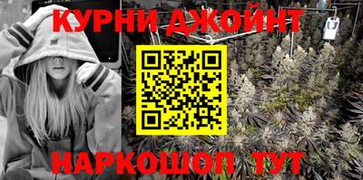 PSILOCYBIN Гатчина