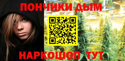 дживик Гай