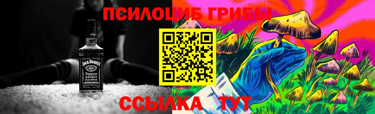 Псилоцибиновые грибы MAGIC MUSHROOMS Пугачёв