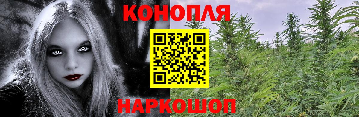 Марихуана Amnesia  Бошки марихуана AK-47  Пугачёв  Канабис OG Kush  Вход с VPN  Бошки Шишки ГИДРОПОН 